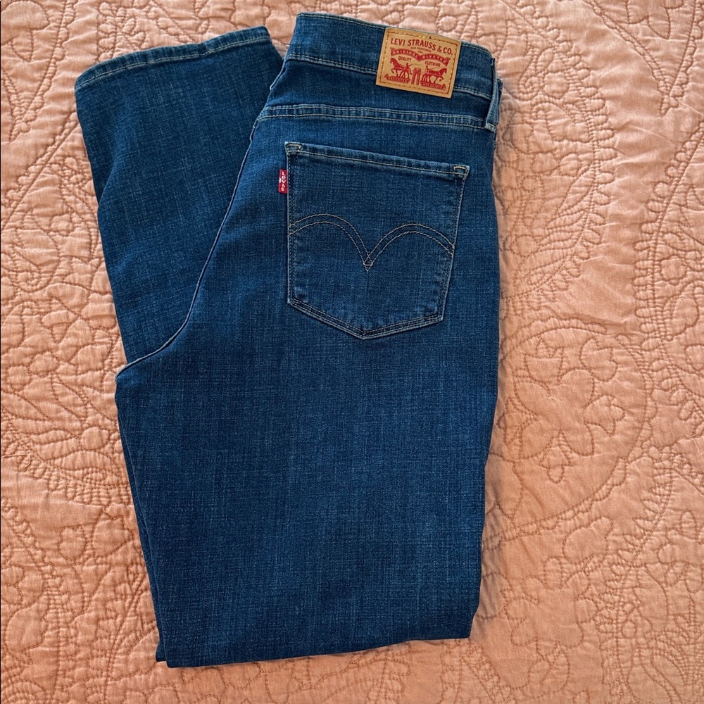 Levi's Authentic Blue Denim Jeans